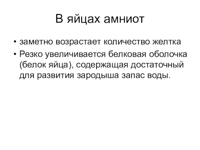 В яйцах амниот заметно возрастает количество желтка Резко увеличивается белковая оболочка