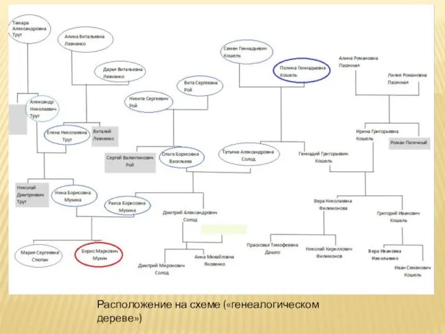 Расположение на схеме («генеалогическом дереве»)