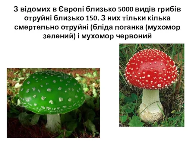 З відомих в Європі близько 5000 видів грибів отруйні близько 150.