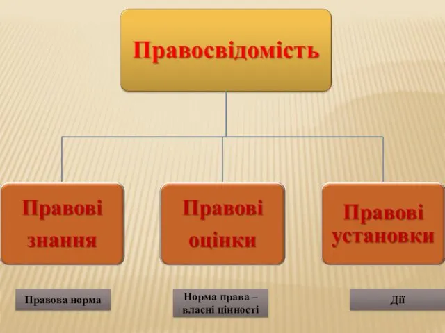 Правова норма Норма права – власні цінності Дії