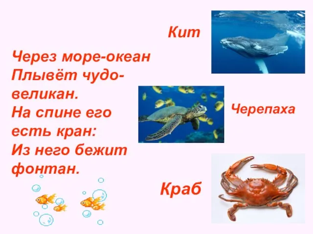 Через море-океан Плывёт чудо-великан. На спине его есть кран: Из него бежит фонтан. Кит Черепаха Краб