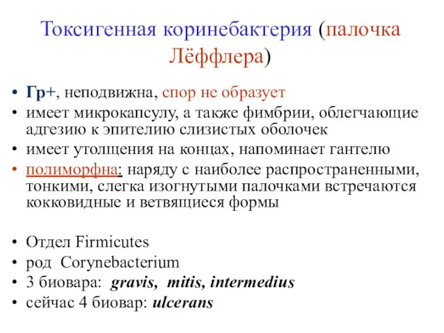 Гр+, неподвижна, спор не образует имеет микрокапсулу, а также фимбрии, облегчающие