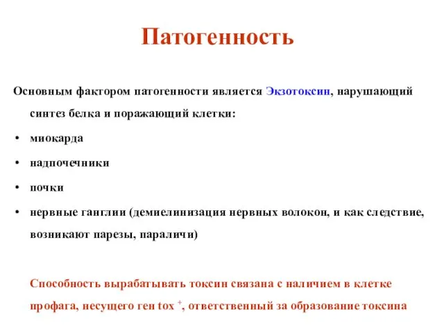 Патогенность Основным фактором патогенности является Экзотоксин, нарушающий синтез белка и поражающий