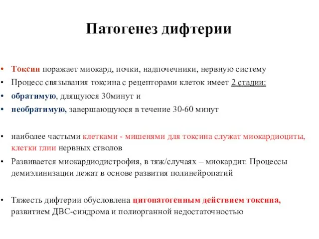 Патогенез дифтерии Токсин поражает миокард, почки, надпочечники, нервную систему Процесс связывания