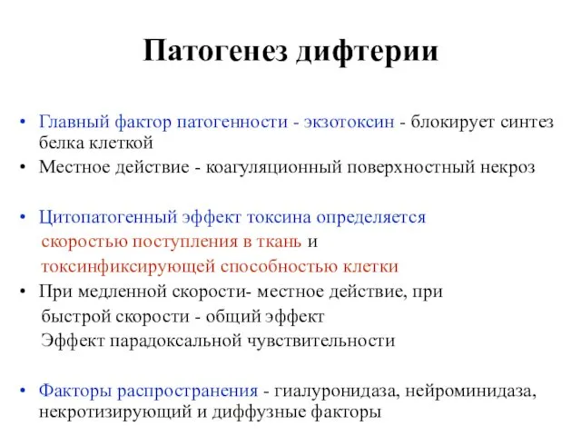 Патогенез дифтерии Главный фактор патогенности - экзотоксин - блокирует синтез белка