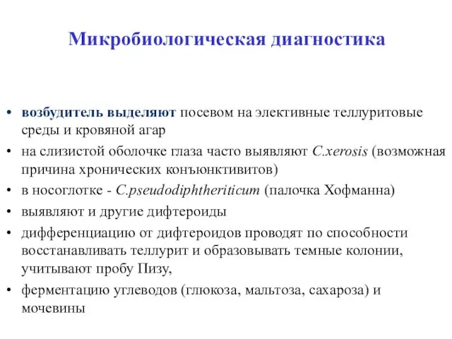 Микробиологическая диагностика возбудитель выделяют посевом на элективные теллуритовые среды и кровяной