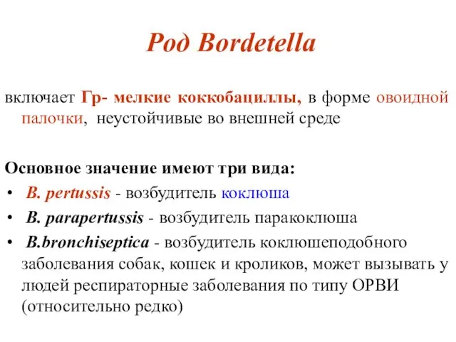 Род Bordetella включает Гр- мелкие коккобациллы, в форме овоидной палочки, неустойчивые