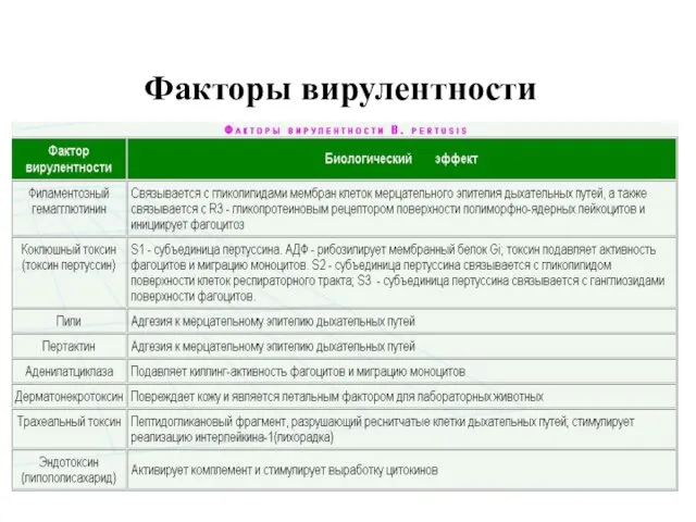 Факторы вирулентности