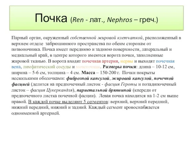 Почка (Ren - лат., Nephros – греч.) Парный орган, окруженный собственной