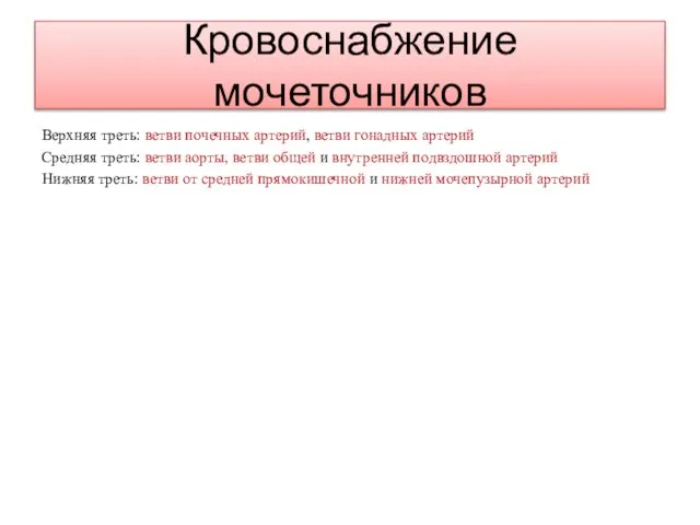 Кровоснабжение мочеточников Верхняя треть: ветви почечных артерий, ветви гонадных артерий Средняя