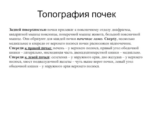 Топография почек Задней поверхностью почки прилежат к поясничному отделу диафрагмы, квадратной