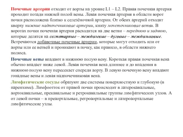 Почечные артерии отходят от аорты на уровне L1 – L2. Правая