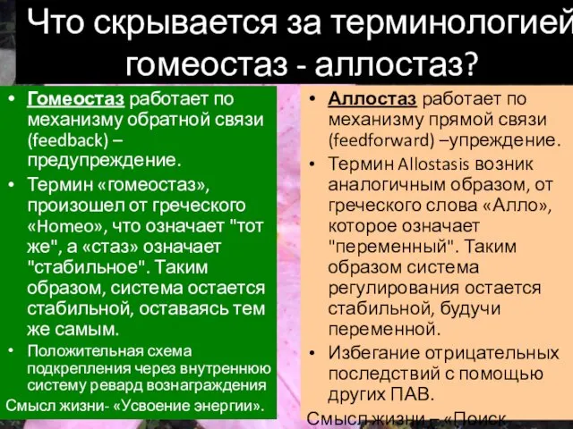 Что скрывается за терминологией гомеостаз - аллостаз? Гомеостаз работает по механизму