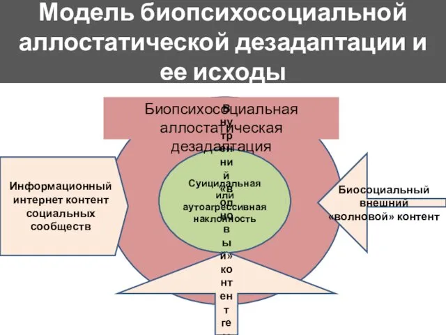 Модель биопсихосоциальной аллостатической дезадаптации и ее исходы Суицидальная или аутоагрессивная наклонность