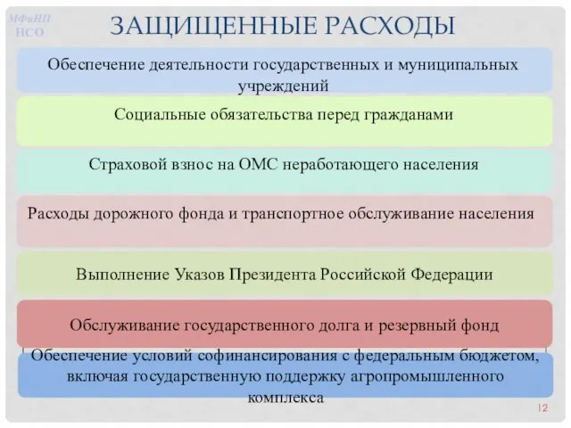 ЗАЩИЩЕННЫЕ РАСХОДЫ Обеспечение условий софинансирования с федеральным бюджетом, включая государственную поддержку агропромышленного комплекса МФиНП НСО