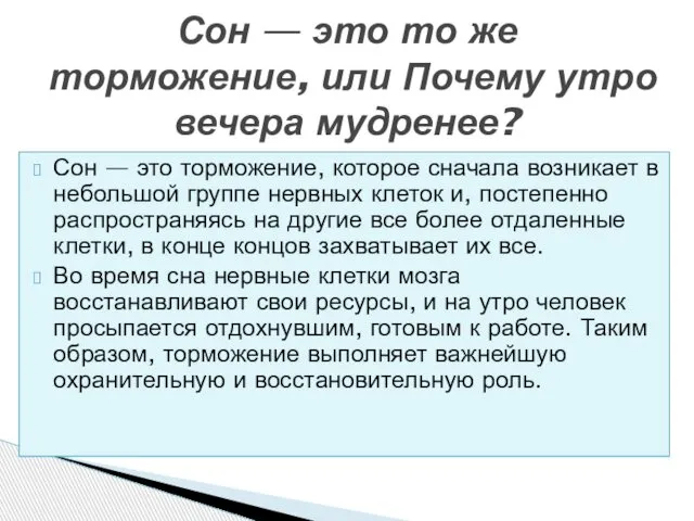 Сон — это торможение, которое сначала возникает в небольшой группе нервных