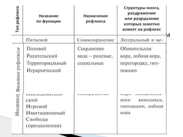 Организм рождается с определенным набором безусловных рефлексов. Они обеспечивают поддержание жизнедеятельности