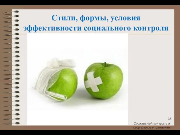 Стили, формы, условия эффективности социального контроля Социальный контроль и социальное управление