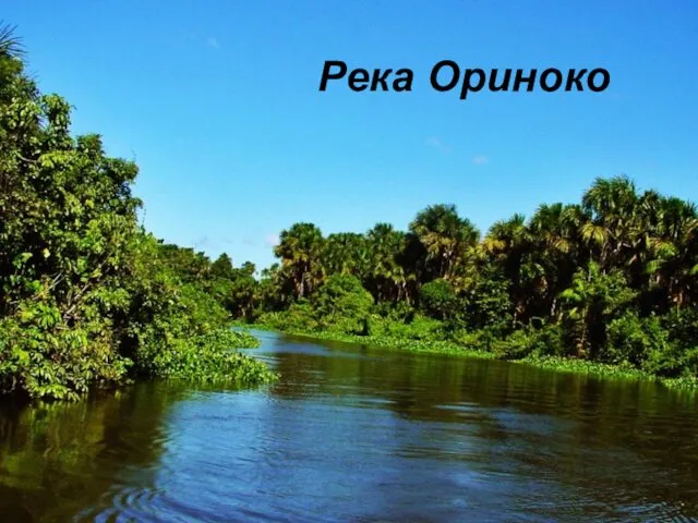 Река Ориноко Река Ориноко