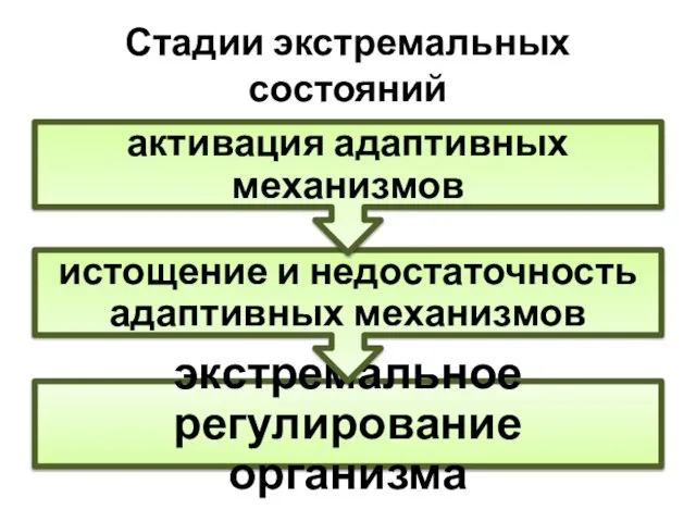 Стадии экстремальных состояний