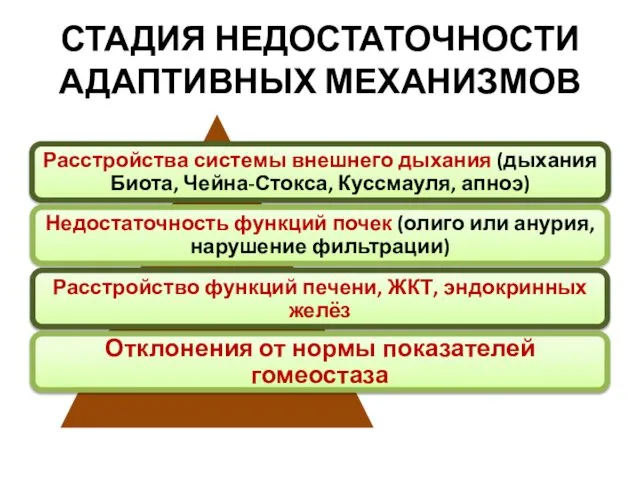 СТАДИЯ НЕДОСТАТОЧНОСТИ АДАПТИВНЫХ МЕХАНИЗМОВ