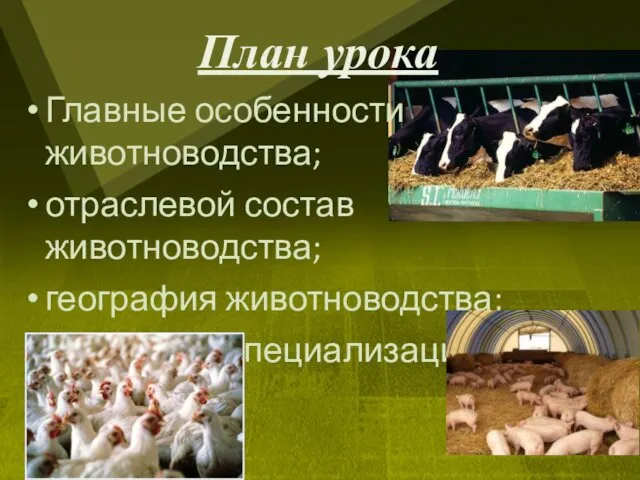 План урока Главные особенности животноводства; отраслевой состав животноводства; география животноводства; зональная специализация.