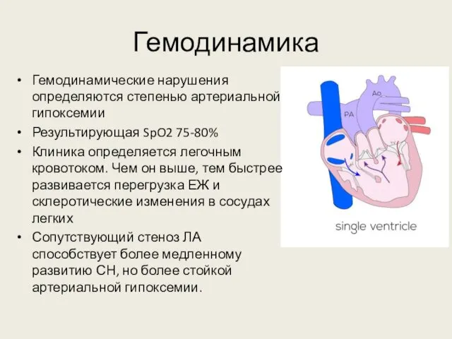 Гемодинамика Гемодинамические нарушения определяются степенью артериальной гипоксемии Результирующая SpO2 75-80% Клиника