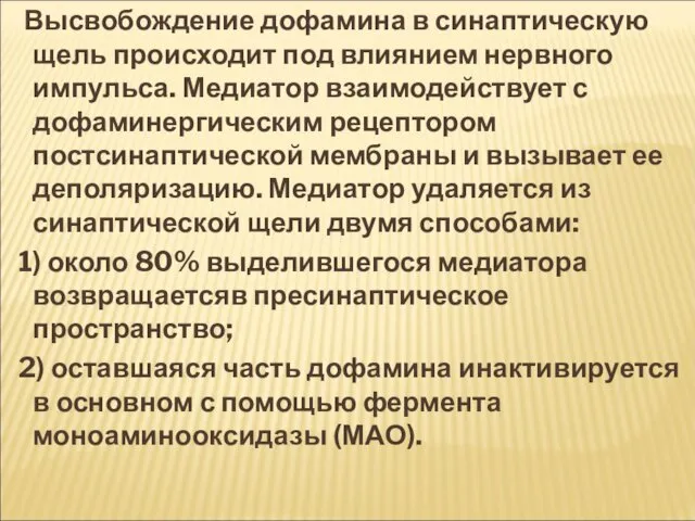 Высвобождение дофамина в синаптическую щель происходит под влиянием нервного импульса. Медиатор