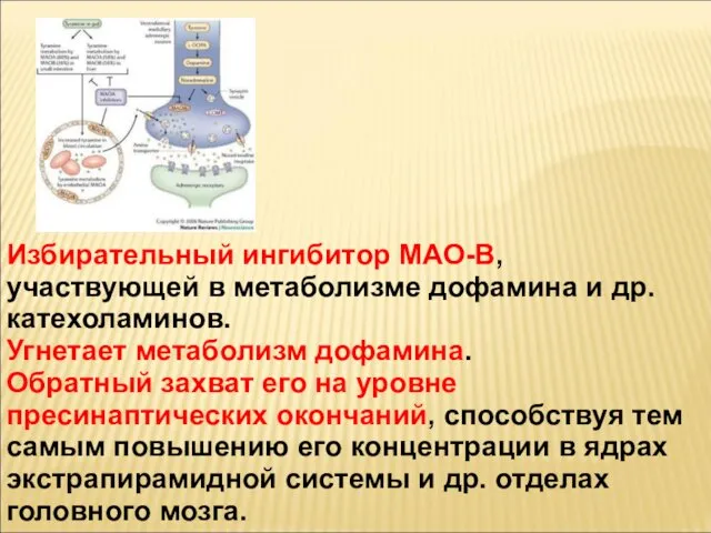 Избирательный ингибитор МАО-В, участвующей в метаболизме дофамина и др. катехоламинов. Угнетает