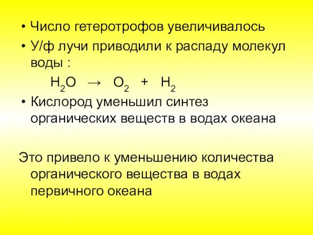 Число гетеротрофов увеличивалось У/ф лучи приводили к распаду молекул воды :