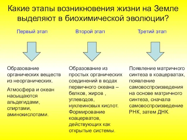 Первый этап Второй этап Третий этап Образование органических веществ из неорганических.