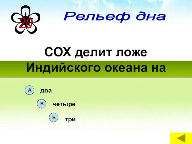 СОХ делит ложе Индийского океана на Рельеф дна Рельеф дна