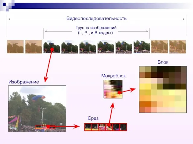 Группа изображений (I-, P-, и B-кадры) Видеопоследовательность Изображение Срез Макроблок Блок