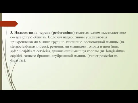 3. Надкостница черепа (pericranium) толстым слоем выстилает всю сосцевидную область. Волокна