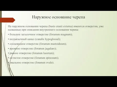 Наружное основание черепа На наружном основании черепа (basis cranii externa) имеются