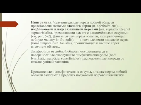 Иннервация. Чувствительные нервы лобной области представлены ветвями глазного нерва (п. ophthalmicus)