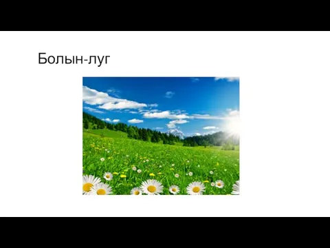 Болын-луг