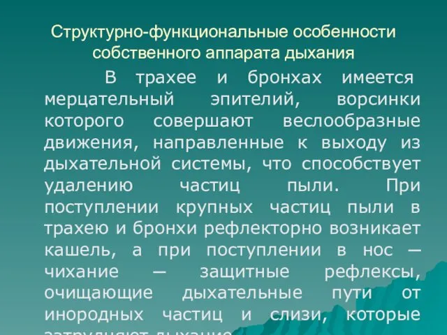 Структурно-функциональные особенности собственного аппарата дыхания В трахее и бронхах имеется мерцательный