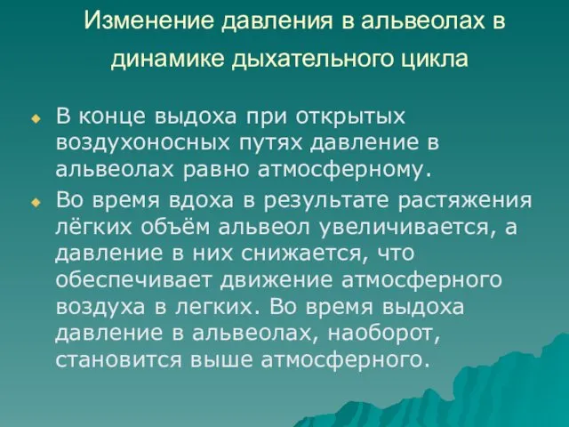 Изменение давления в альвеолах в динамике дыхательного цикла В конце выдоха