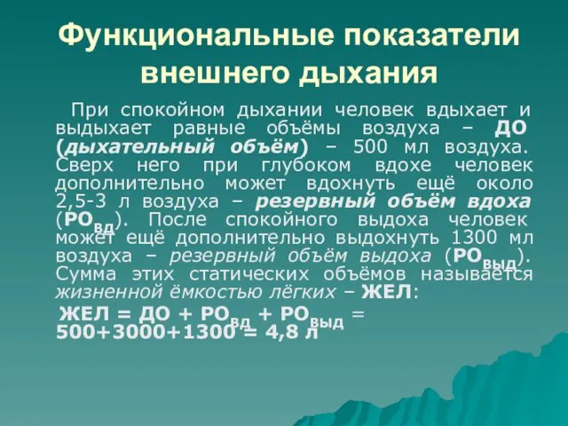 Функциональные показатели внешнего дыхания При спокойном дыхании человек вдыхает и выдыхает