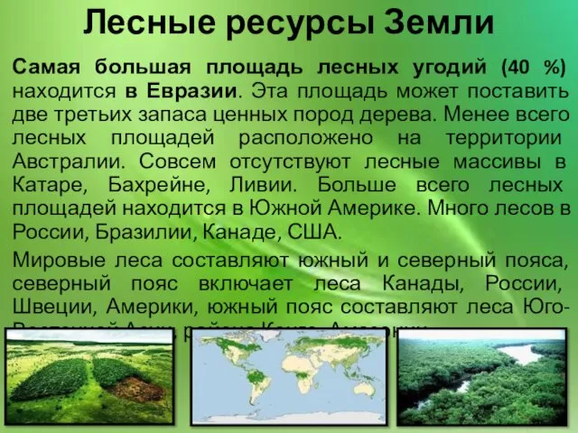 Самая большая площадь лесных угодий (40 %) находится в Евразии. Эта