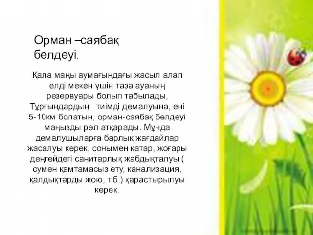 Қала маңы аумағындағы жасыл алап елді мекен үшін таза ауаның резервуары