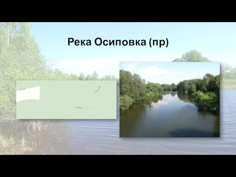 Река Осиповка (пр)