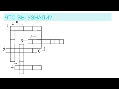 ЧТО ВЫ УЗНАЛИ? 2 1 3 4 5 6 7