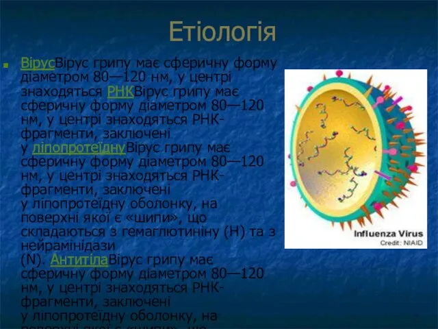 Етіологія ВірусВірус грипу має сферичну форму діаметром 80—120 нм, у центрі