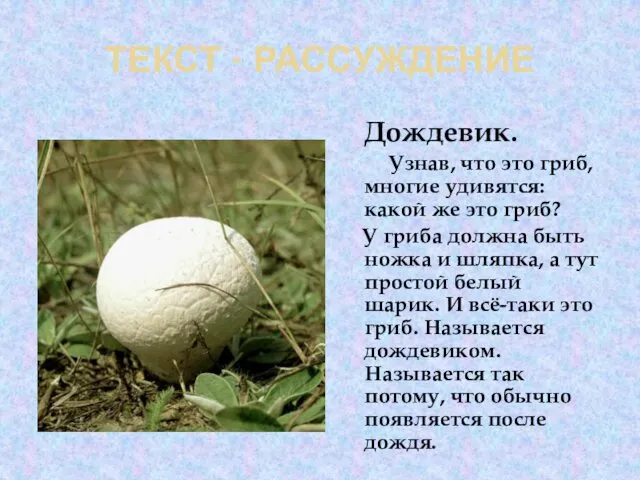 ТЕКСТ - РАССУЖДЕНИЕ Дождевик. Узнав, что это гриб, многие удивятся: какой