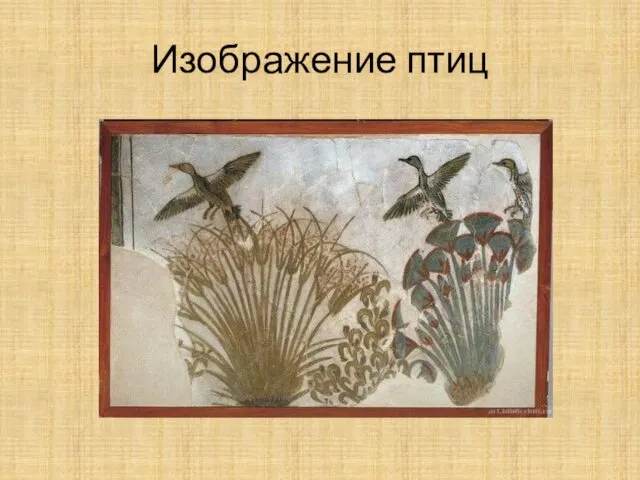 Изображение птиц