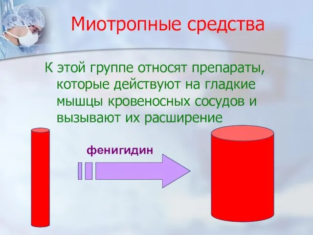 Миотропные средства К этой группе относят препараты, которые действуют на гладкие