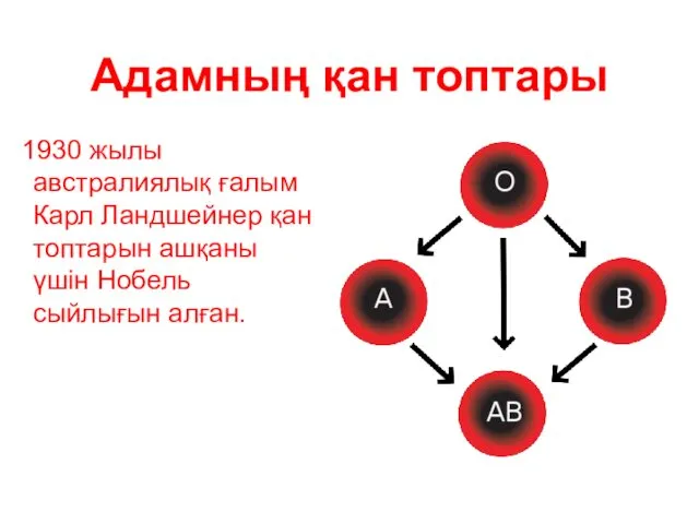 Адамның қан топтары 1930 жылы австралиялық ғалым Карл Ландшейнер қан топтарын ашқаны үшін Нобель сыйлығын алған.