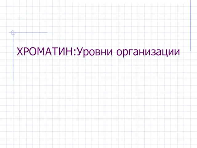 ХРОМАТИН:Уровни организации